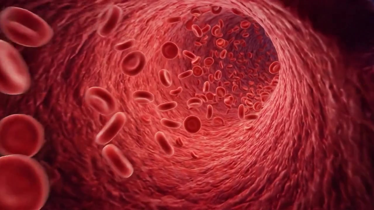 Microscopic view of circulating blood cells