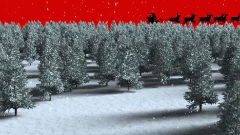 Animation-of-santa-claus-in-sleigh-with-reindeer-moving-over-fir-trees-winter-landscape