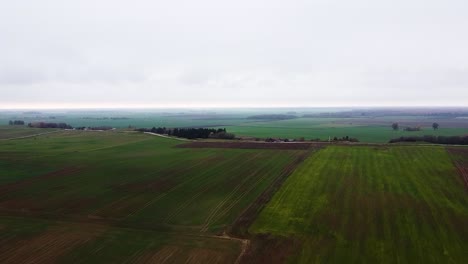 Fliegen-über-Litauens-Flachland-Mit-Wunderschönen-Grünen-Landwirtschaftlichen-Feldern