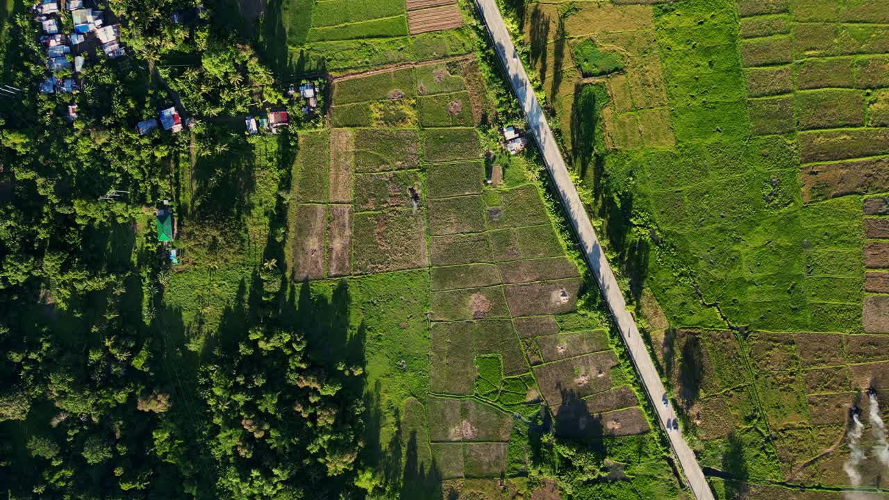 Bird's eye aerial view of a lone provincial road cutting across green rice paddies and lush greenery at tropical island Catanduanes, Philippines.