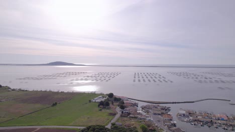 Vista-Aérea-Del-Paisaje-De-Las-Granjas-De-Mariscos-En-La-Costa-De-Sete,-Francia