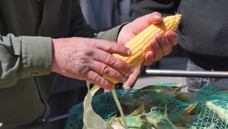 peeling corn