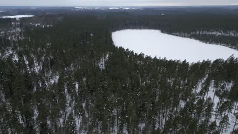 Flight-up-over-the-mountain-winter-snowy-spruce-and-pine-forest-with-frozen-trees-and-lawns-covered-with-snow