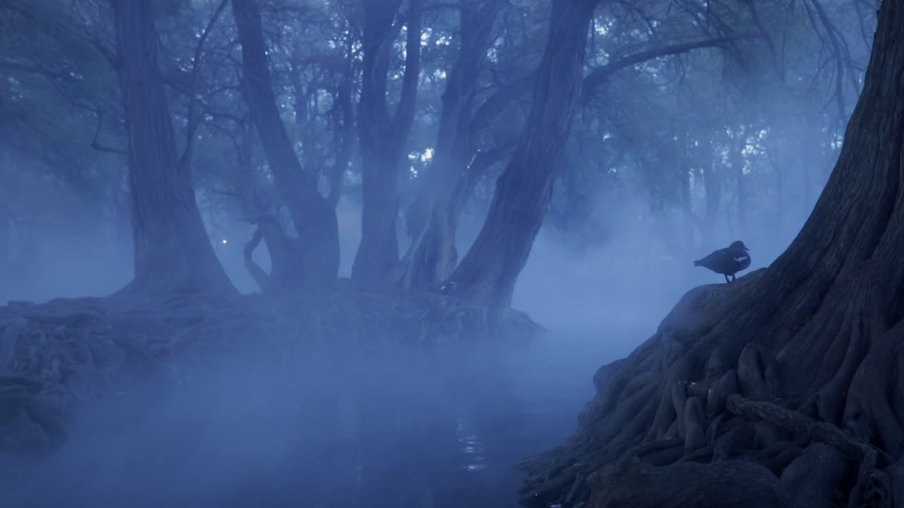 Mysterious Foggy Forest with Solitary Bird