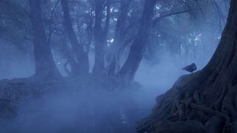 mysterious foggy forest with solitary bird