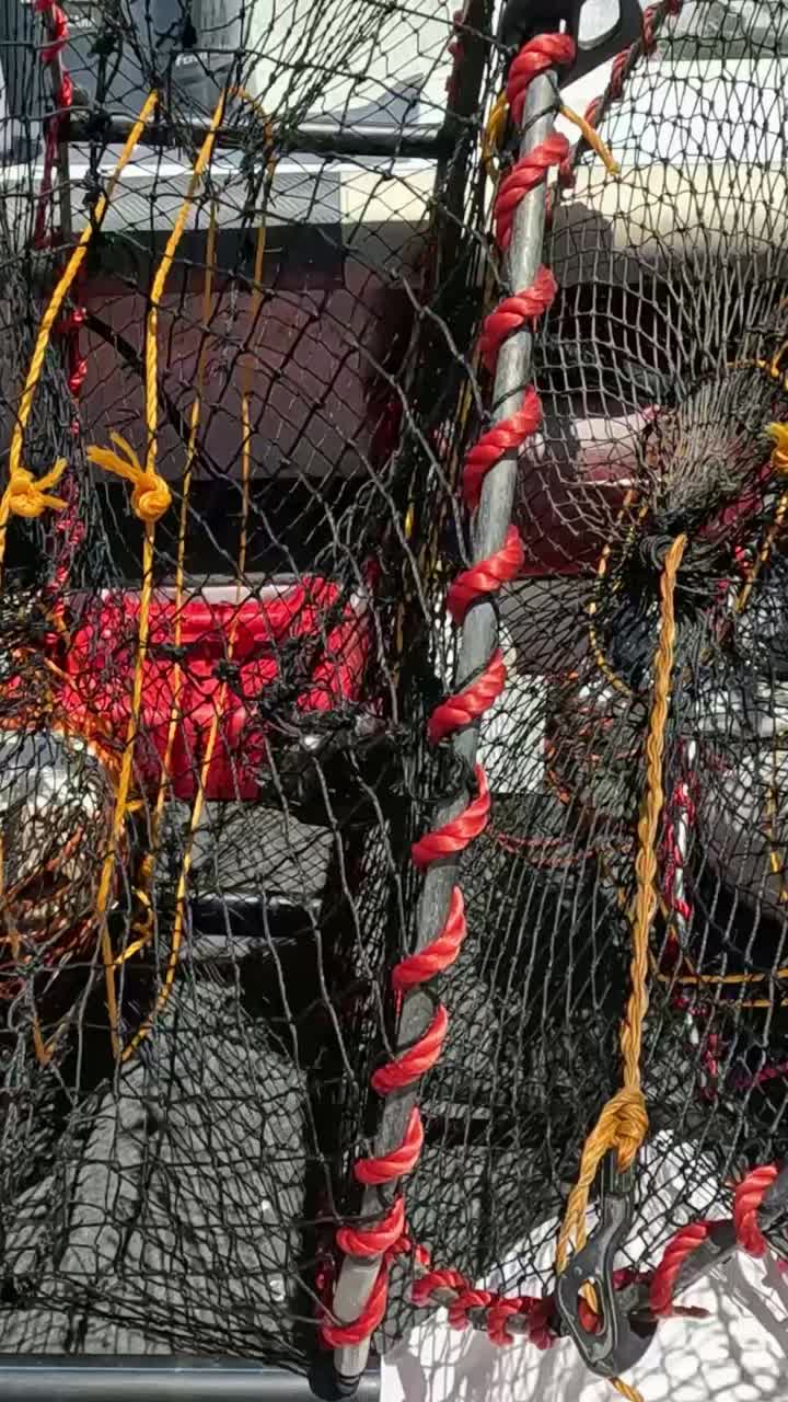 시 배 에 있는 크래브 함정 과 먹이