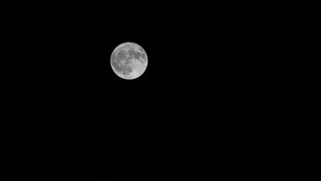 Moon-moves-slowly-across-night-sky,-time-lapse