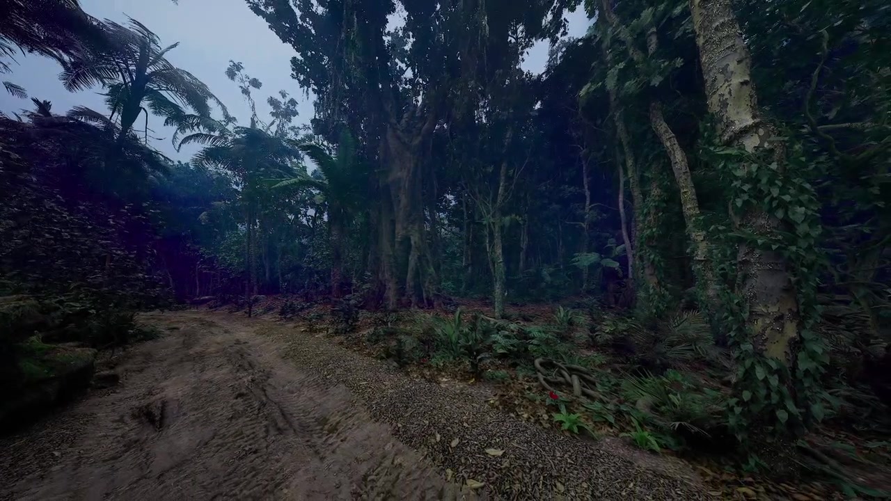 Ouverture spectaculaire de la forêt entourée d'arbres imposants