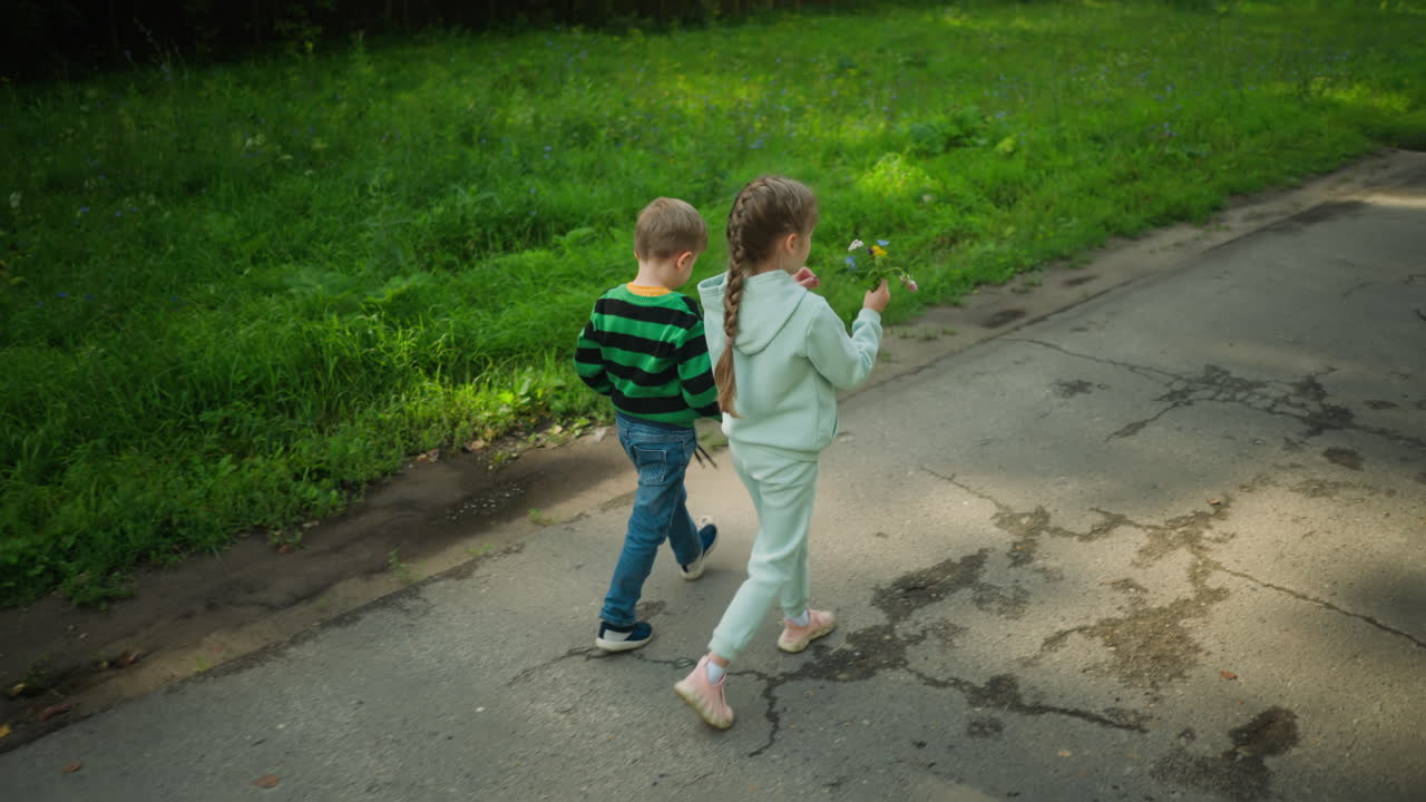 Little girl holding bunch of wildflowers walks beside younger boy on cracked tarred path surrounded by green grass, sharing a peaceful stroll and enjoying quiet nature moment in warm daylight