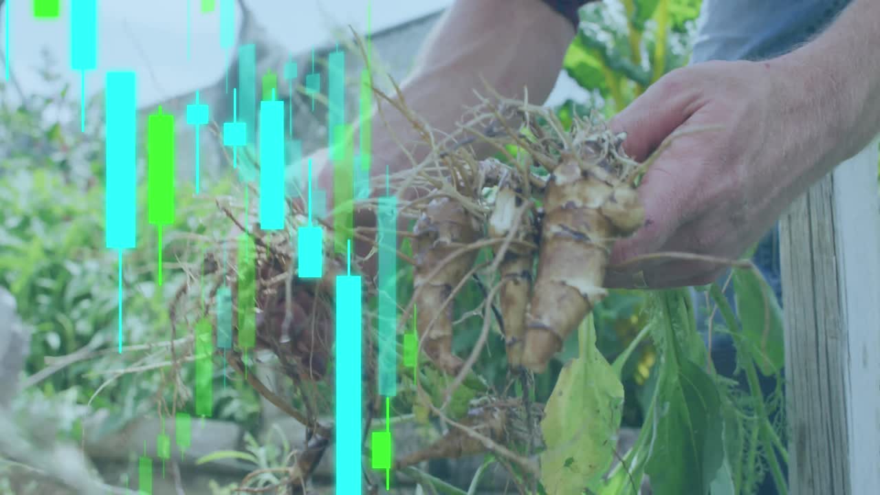 animación del procesamiento de datos financieros sobre el hombre caucásico que trabaja en el jardín.