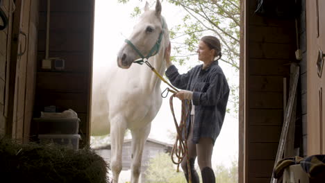 young woman caring and playing with white horse outside the stable