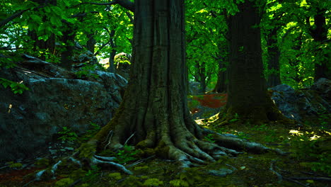 tree roots with green moss at spring