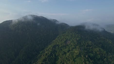 sliding drone shot of rainforest-covered mountains