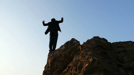 Businessman on Mountain Top