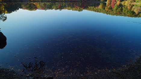 a tilt reveal begins with calm blue water and shows colorful autumn trees as they stand beyond a reflective lake in this new england landscape