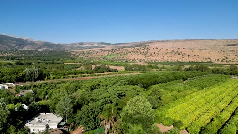 vídeo de drones de alta resolución de 4k de la aldea de she'ar yashuv en el norte de israel durante los meses de verano.