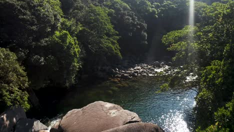 barranco shiratani unsuikyo, empuje a través del bosque sobre el hermoso río, yakushima