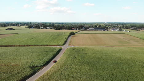 Red-Convertible-Car-Driving-On-The-Country-Road-Surrounded-By-The-Corn-Fields-In-Zwolle,-Netherlands