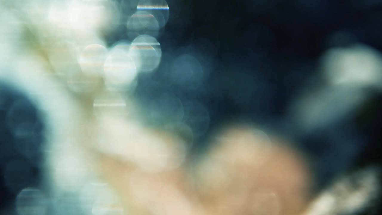 화면 거림, 이리데센트 보케, 흐릿한 스플래시, 비디오 벽지 보케 서클, 새해의 크리스마스 거름.