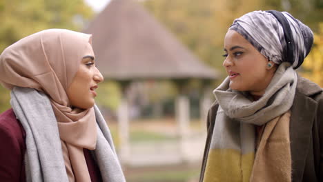 Dos-Mujeres-Musulmanas-Británicas-Reunidas-En-El-Parque-Urbano.