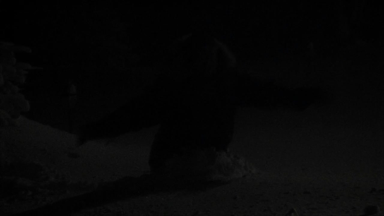Uno scatto notturno e cupo di un uomo che fatica nella neve alta durante una bufera di neve.