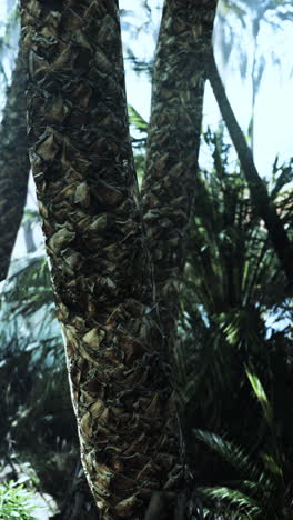 un primer plano de troncos de palma en un bosque tropical