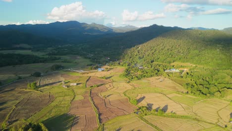 Arrozales-Rodeados-De-Montañas-Por-La-Tarde,-Cálida-Luz-Del-Sol,-Arrozales-Del-Sudeste-Asiático,-Técnica-Agrícola-Tradicional