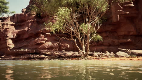 serene desert oasis: red rock cliffside and tranquil water