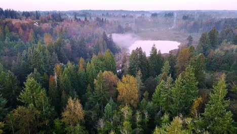 filmaufnahme eines wunderschönen grünen waldes, der mit klarem see endet, nebelwetter, renton, washington