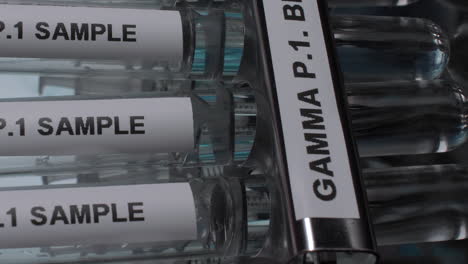 gama p