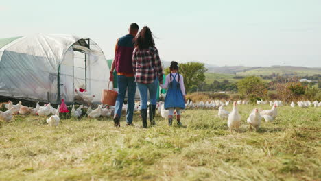 Familie,-Mutter-Und-Vater-Mit-Kind-Auf-Einem-Huhn