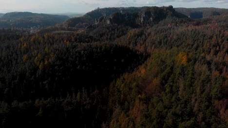 coniferous forest and mountains in saxon switzerland national park