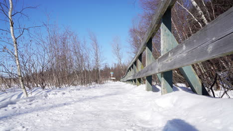 Pan-shot-in-a-nature-parc-by-the-trail