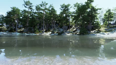 Blue-water-in-a-forest-lake-with-pine-trees