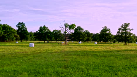 Flying-low-on-grassland-between-oak-trees,-towards-a-weird-tree