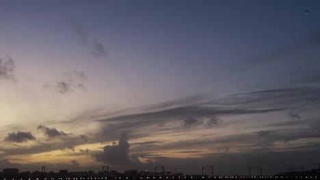 Flock-of-birds-flying-over-Porto-sky-at-sunset-between-golden-and-blue-hours