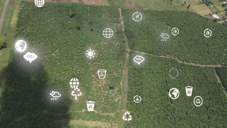 Drohnenansicht-–-Afrika-Wald-–-Kenia-Und-Tansania-–-Buschfeuer-An-Den-Hängen-Des-Kilimandscharo,-Loitokitok,-Kenia