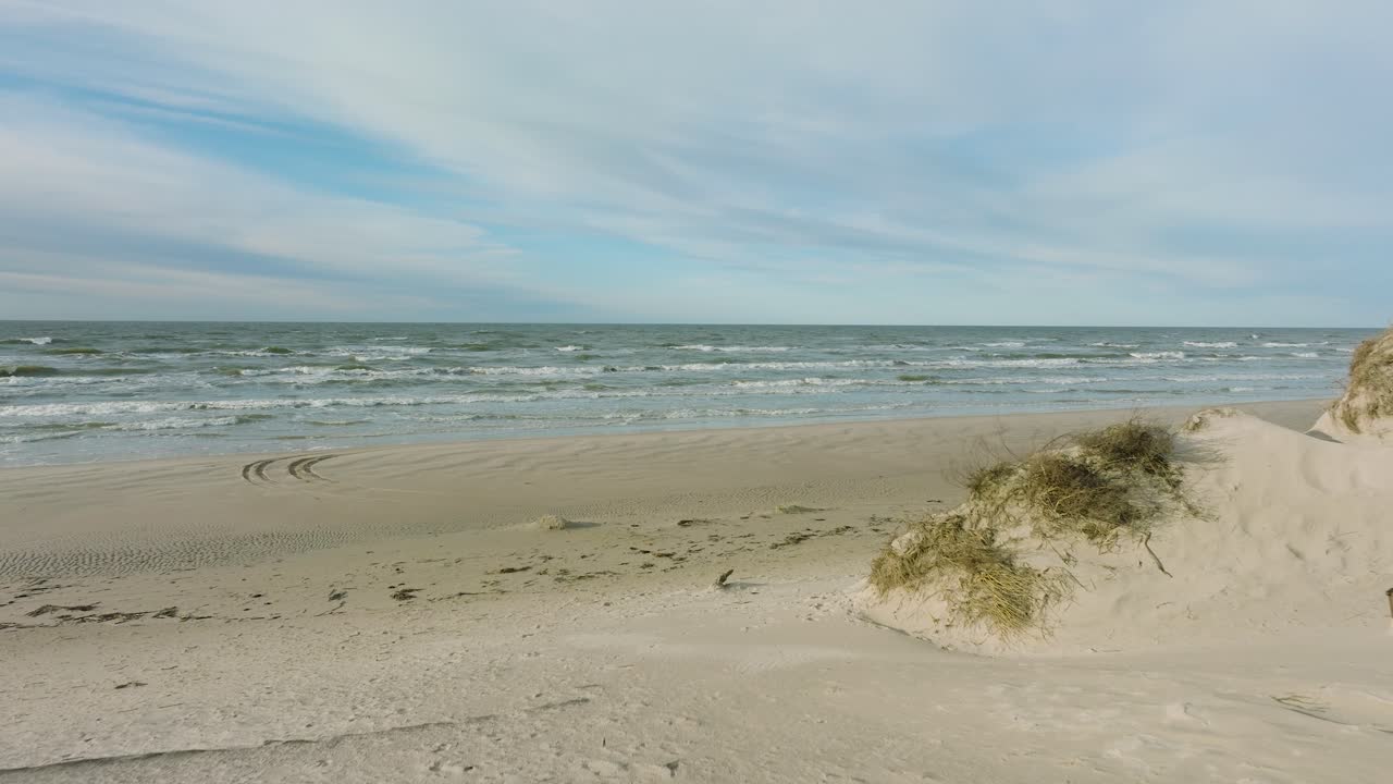 Aerial establishing view of Baltic sea coast, sunny day, white sand seashore dunes damaged by waves, pine tree forest, coastal erosion, climate changes, wide angle drone shot moving forward low