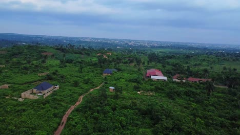 jib up of a large farm path leading to pond and a few houses surrounded by beautiful green nature in the countryside of nigeria, africa
