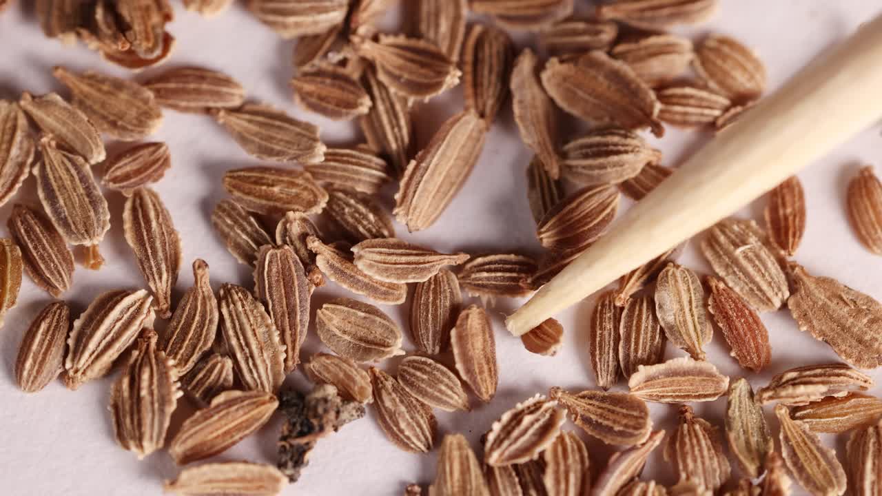 Close-up examination of seeds with a wooden tool in a laboratory setting, highlighting texture and detail