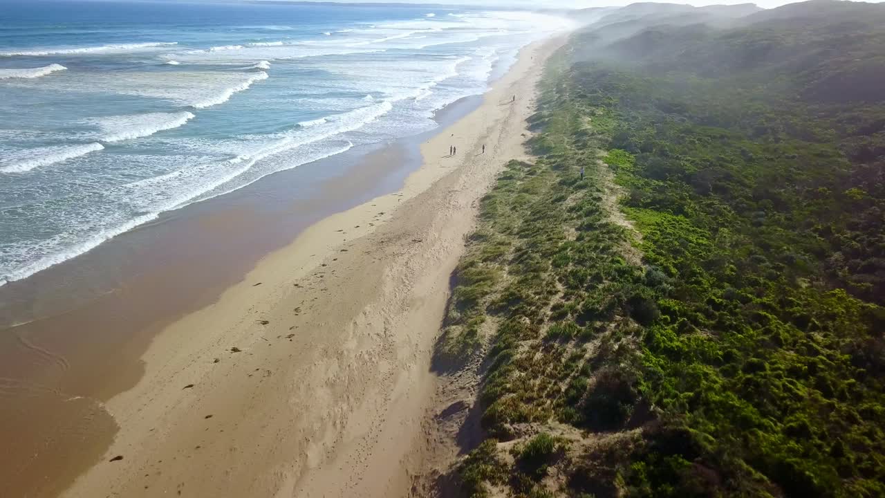 imágenes de drones inversos de olas y playa en venus bay, victoria, australia