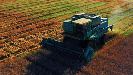 large modern combine harvester at work in the field in lithuania - drone shot