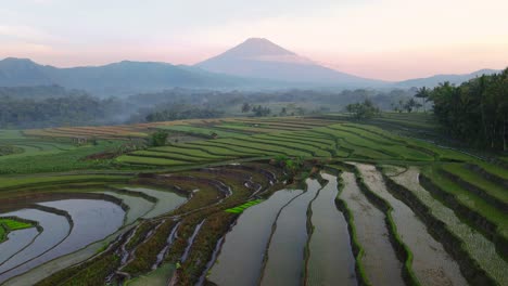 Aerial-view-of-beautiful-terraced-rice-field-and-mountain-on-the-background-in-sunrise-time