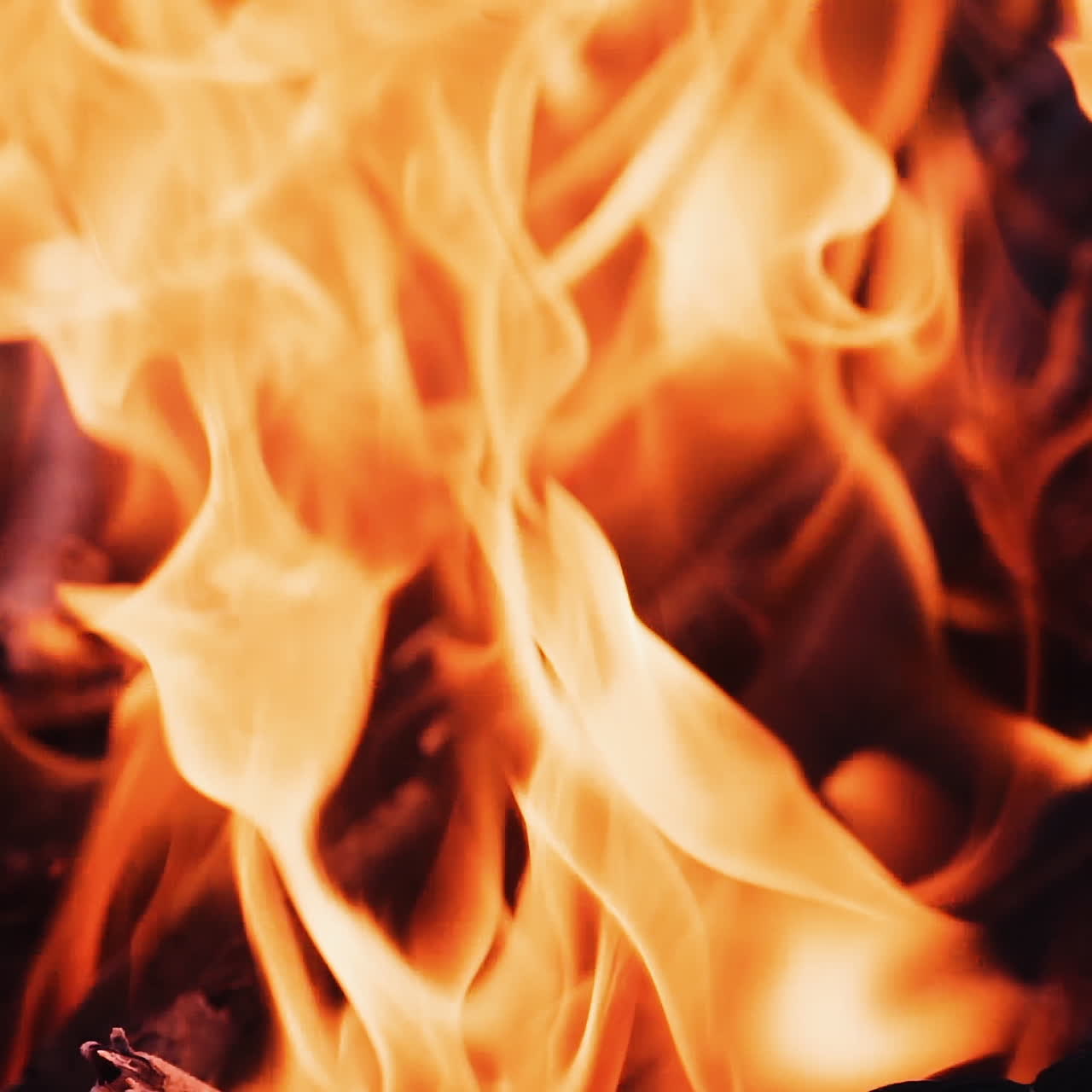 Bonfire. The fire is lit in the night. Slow motion