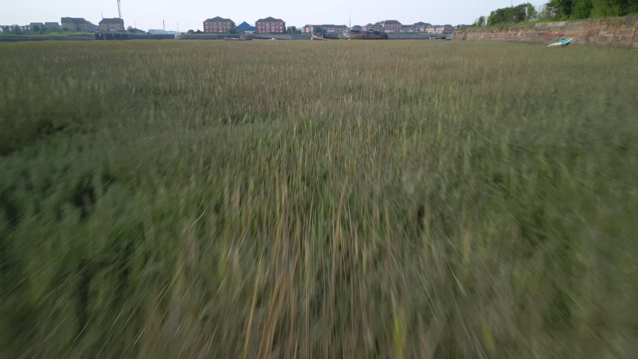 volando rápido y muy bajo sobre las cimas de la hierba en el pantano salado con aumento sobre abandonados, naufragios abandonados en fleetwood, lancashire, reino unido