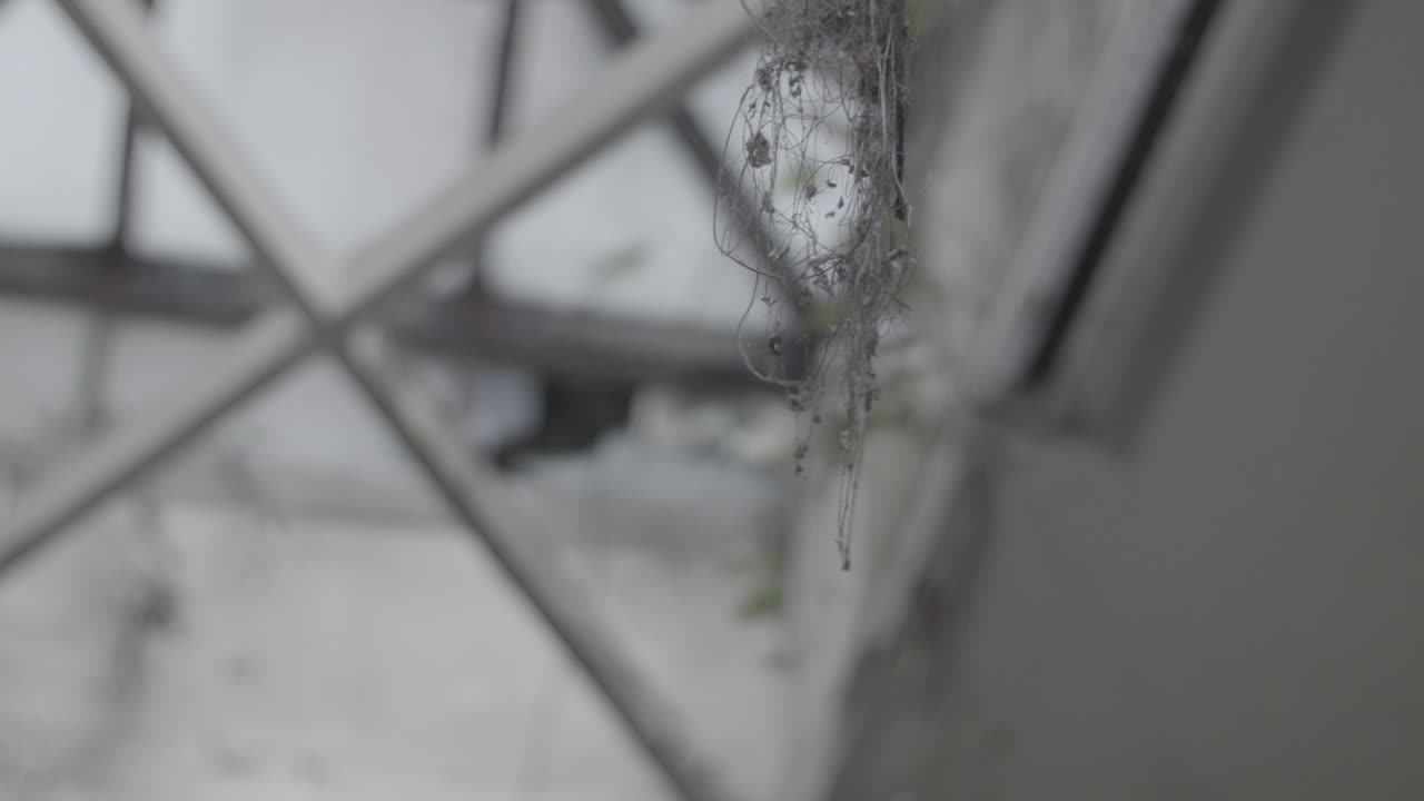 채광창 묵시적인 버려진 건물에 이끼가 매달려 있다