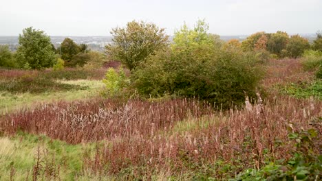 Autumn-in-one-of-north-east-Englands-national-parks