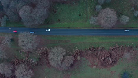 Siguiente-Toma-Aérea-De-Arriba-Hacia-Abajo-De-Automóviles-Y-Bicicletas-En-La-Carretera-Principal-De-Richmond-Park,-Londres