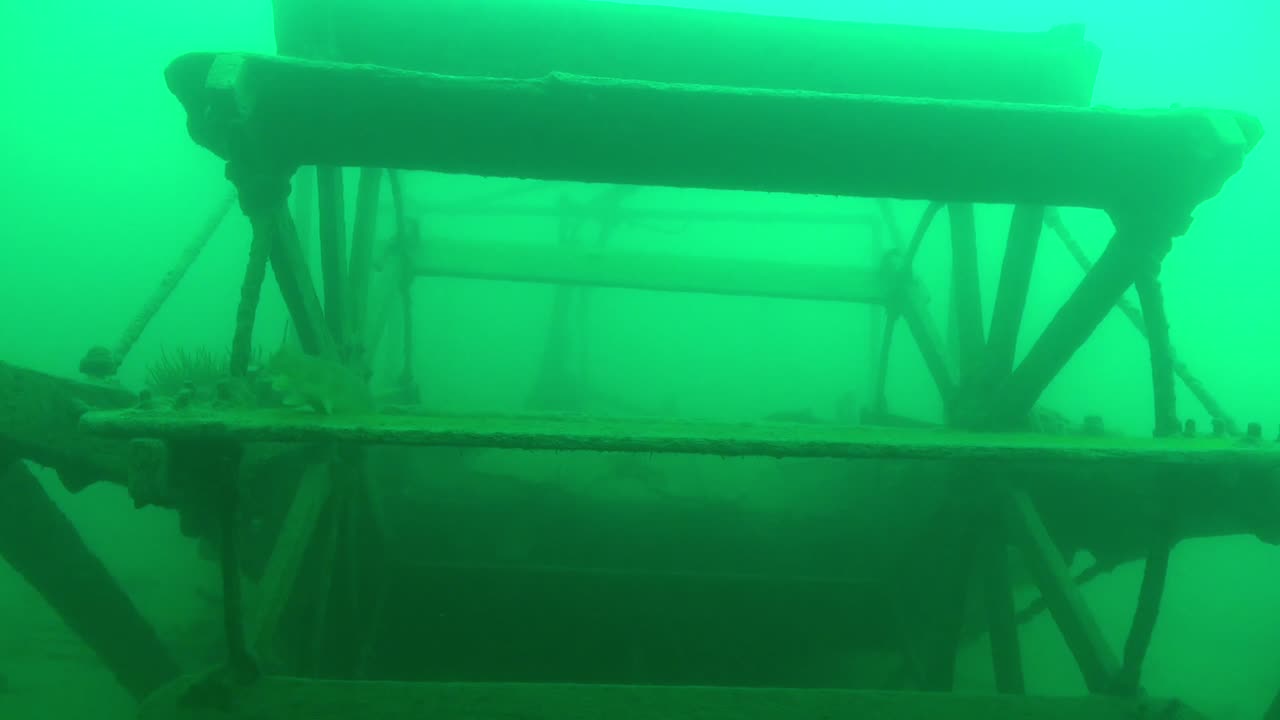 pescado blanco en la rueda de paletas del barco goldrush aj goddard