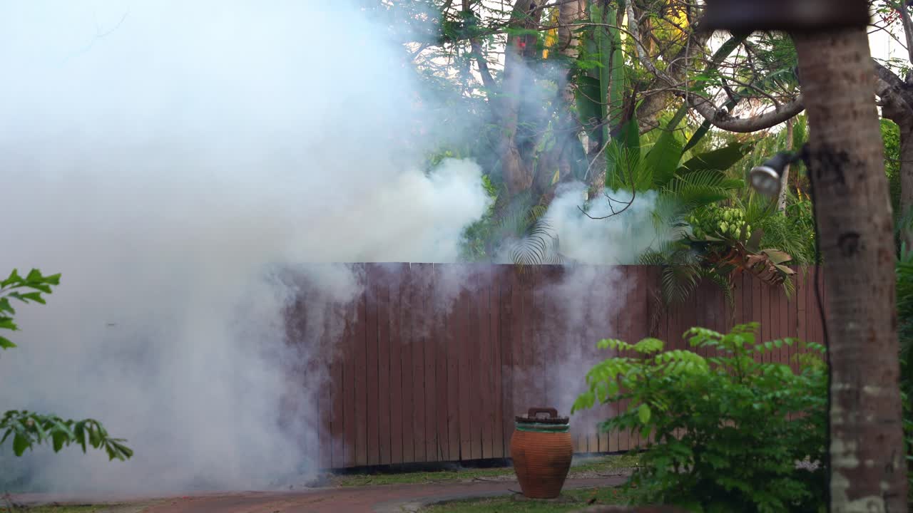 penachos gruesos de humo blanco, actividades de fumigación en el vecindario para matar mosquitos y otros insectos, para prevenir la propagación de la fiebre del dengue, tiro del concepto de problema de salud